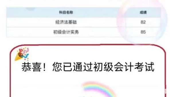 2020年会计初级考试查询