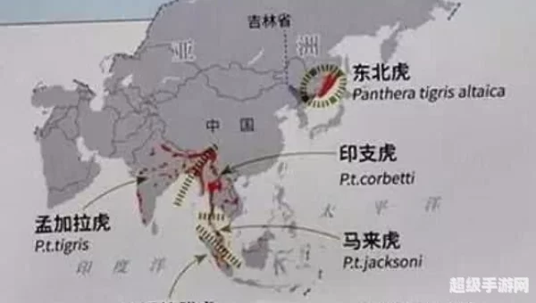 老虎地图