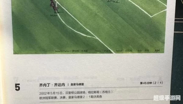 疯狂的足球下载