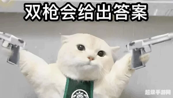 双枪会给出答案