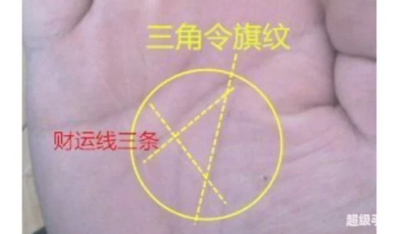 食指简介