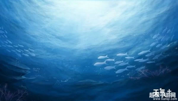 海洋生物资源最丰富的是哪个大洋