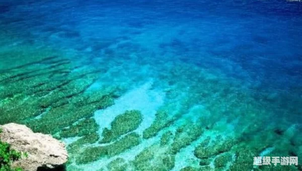 海洋生物资源最丰富的是哪个大洋